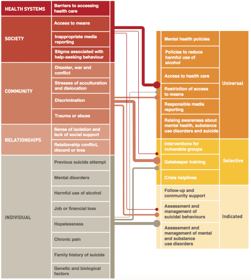 Key risk factor for suicide aligned with relevant intervention