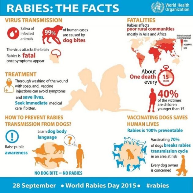 World Rabies Day 2020! End Rabies: Collaborate, Vaccinate 4 Rabies 1