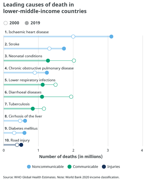 The top 10 causes of death 6 image4
