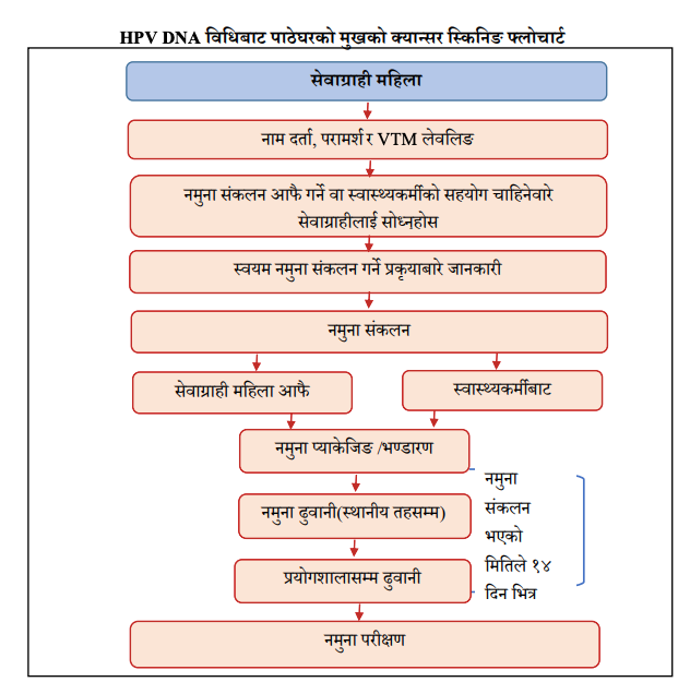 Standard Operating Procedure for HPV DNA Screening for Cervical Cancer 4 Screen Shot 2024 05 16 at 08.34.45