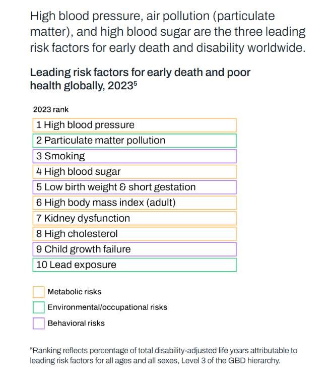 The Global Burden of Disease 2023 6 560792781 826539943054562 2057851752800700490 n